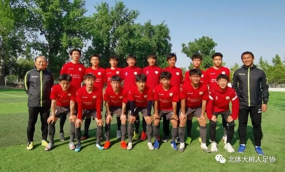 电竞实时数据网