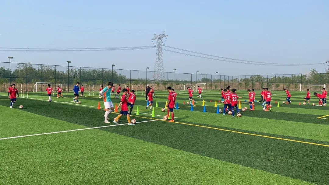 电竞实时数据网