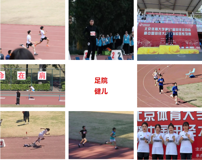 电竞实时数据网