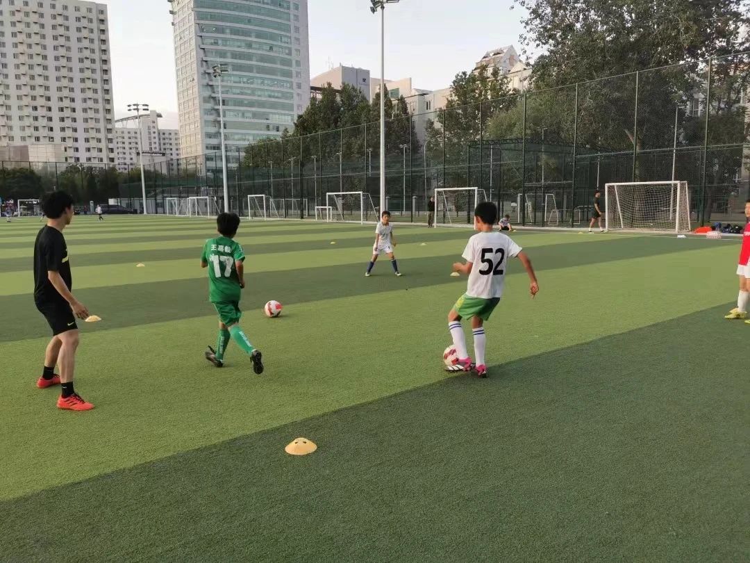 电竞实时数据网