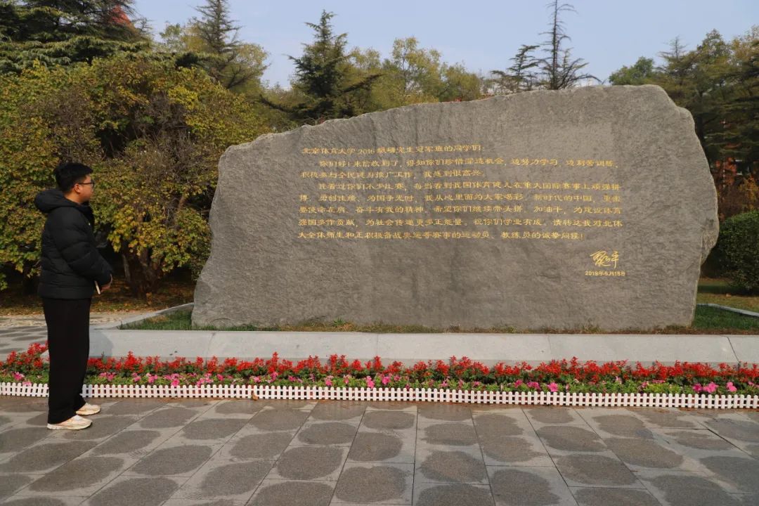 电竞实时数据网