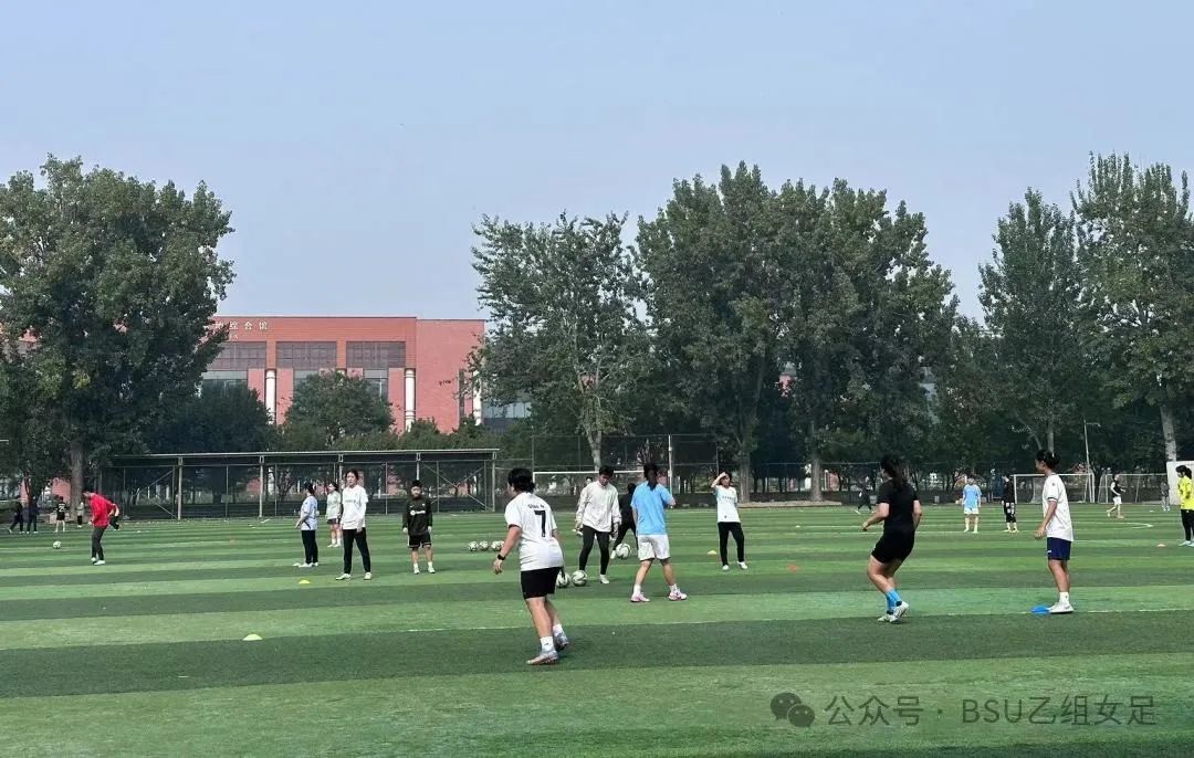 电竞实时数据网