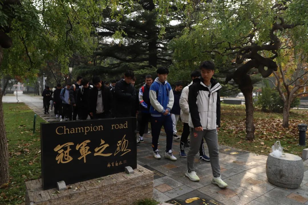 电竞实时数据网