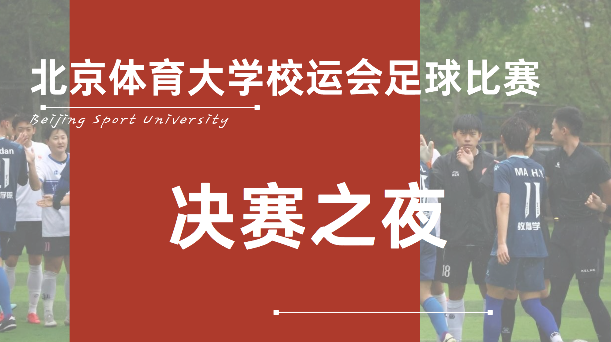 电竞实时数据网