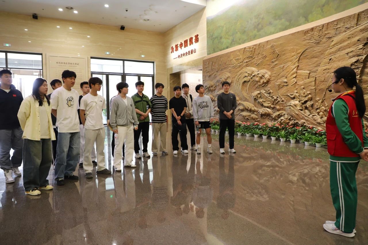 电竞实时数据网