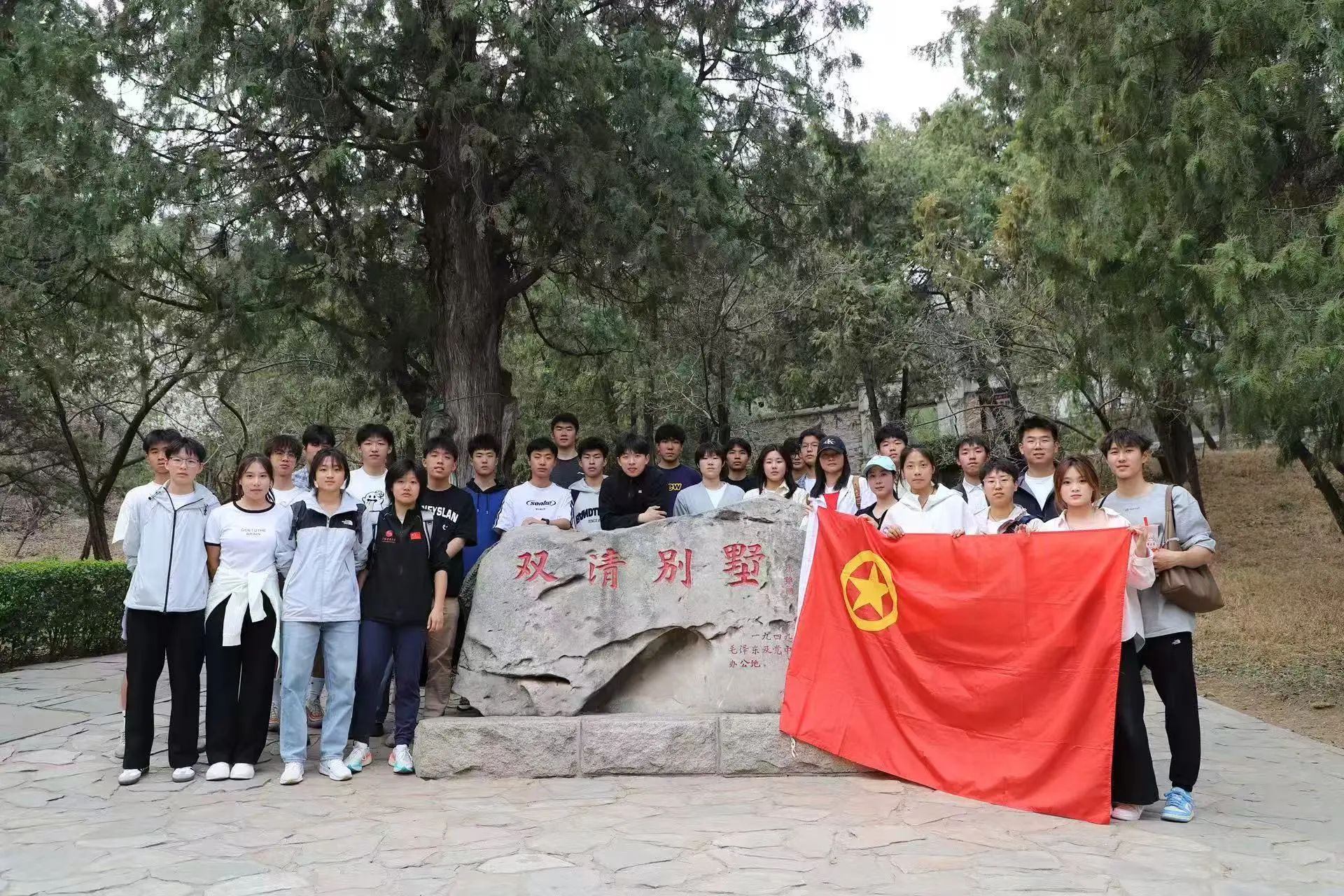 电竞实时数据网